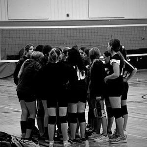 Meet your Posher, Ava